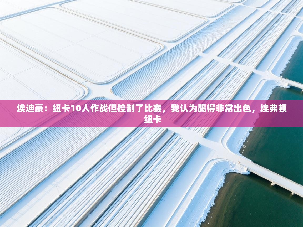 爱游戏娱乐登录-埃迪豪:纽卡10人作战但控制了比赛,我认为踢得非常出色,埃弗顿 纽卡 第1张