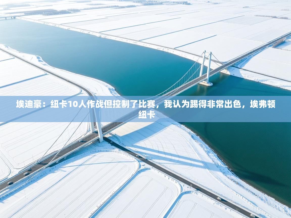 爱游戏娱乐登录-埃迪豪:纽卡10人作战但控制了比赛,我认为踢得非常出色,埃弗顿 纽卡 第2张