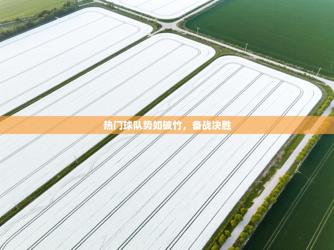 爱游戏体育娱乐赞助罗马-热门球队势如破竹，备战决胜  第4张