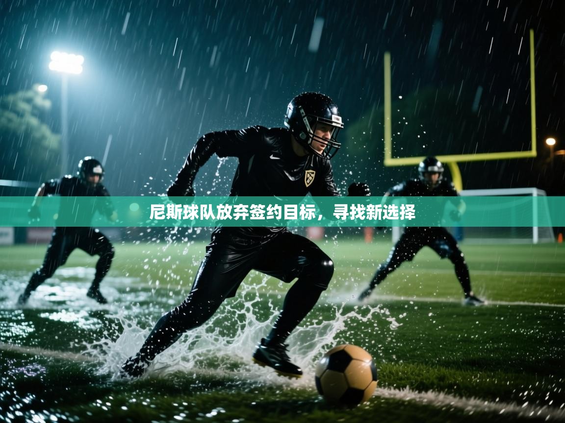 体育互动直播网-尼斯球队放弃签约目标，寻找新选择  第1张