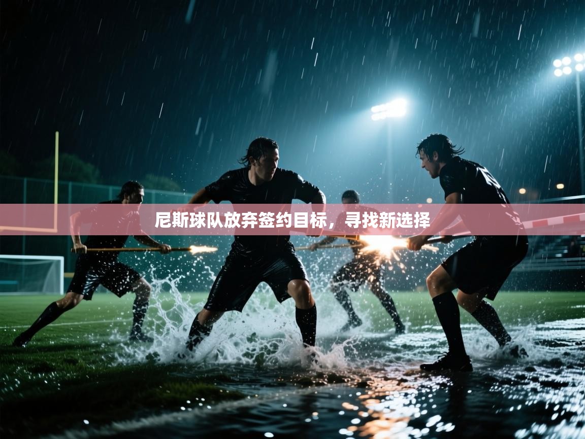 体育互动直播网-尼斯球队放弃签约目标，寻找新选择  第3张