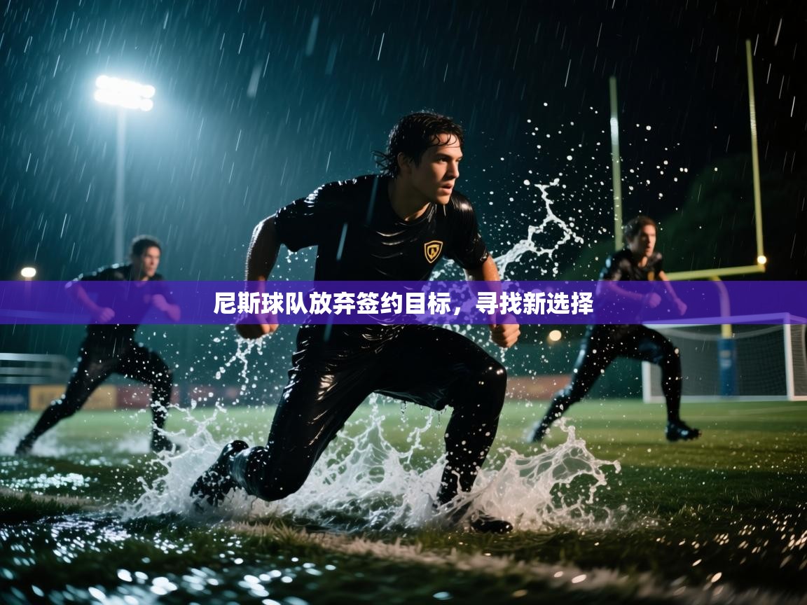 体育互动直播网-尼斯球队放弃签约目标，寻找新选择  第4张